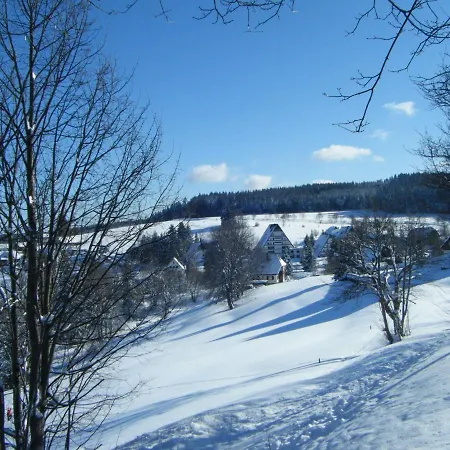 Charming In Im Schwarzwald With Sauna Schönwalde